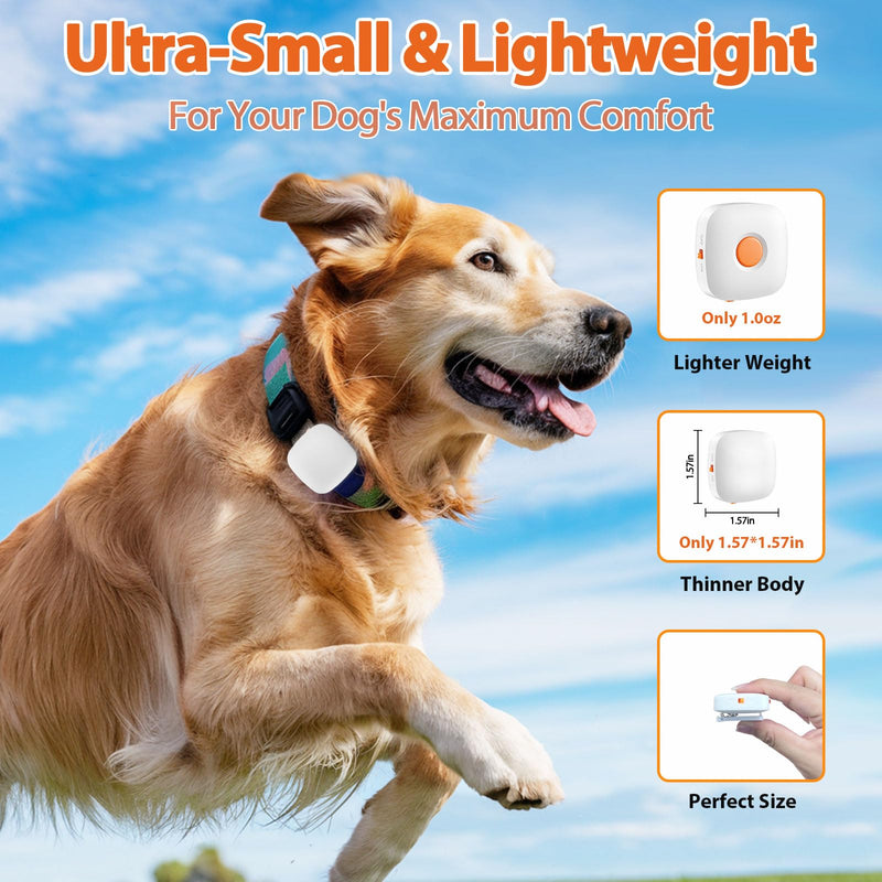 Dog Training Device No Shock, Dog Training Collar Clip with Remote, Safe & Humane Vibrating Clicker, One-Touch Operation, for Beginner Pet Trainer for 5-15 lbs Small Medium Large Dogs - PawsPlanet Australia