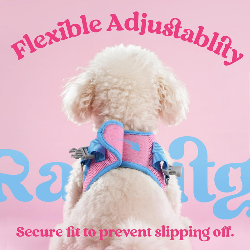 rabbitgoo Dog Harness Small Sized and Leash Set, Step-in Breathable Pet Harness, Soft Walking Reflective Puppy Vest for Small Dogs, Pink & Light Blue, XXS XXS (Chest: 12.4 - 14.2")