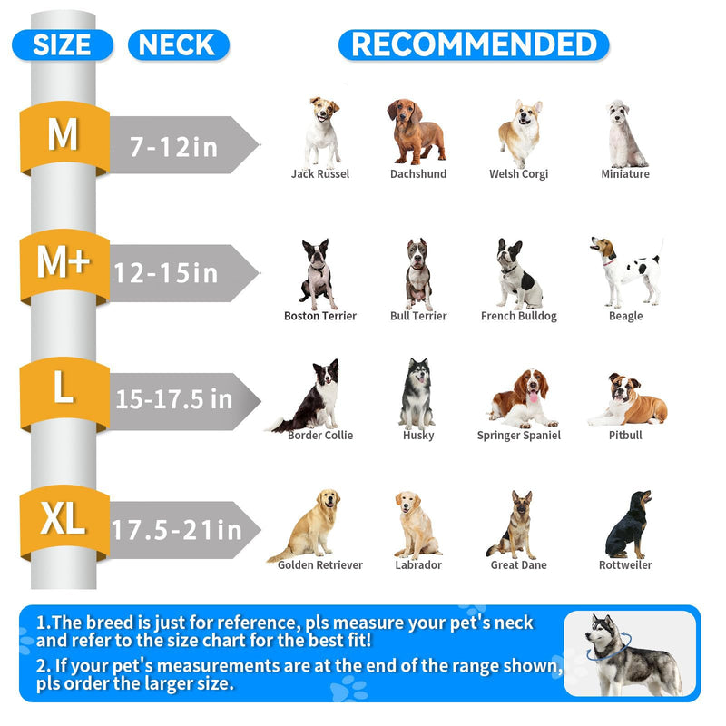 2-in-1 Soft Inflatable Dog Cone Collar Alternative with Enhanced Anti-Licking Guard Shield, Dog Collar After Surgery, Adjustable Recovery Cones for Large Medium Small Dogs and Cats(Blue, M+) Blue M+(Neck Girth:12"-15")