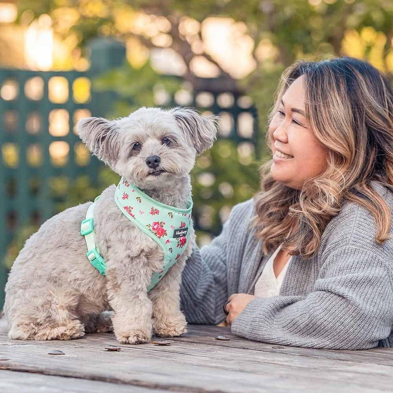 Blueberry Pet Floral Dog Vest Harness, Turquoise, X-Small | No Pull, Lightweight & Comfy Fit for Puppies and Small Breeds | Award-Winning Design for Girl Dogs - PawsPlanet Australia