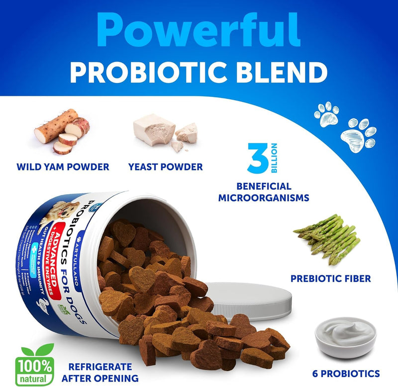 Probiotic Chews for Dogs - Immunity Support - Probiotics & Prebiotic & Enzymes - PawsPlanet Australia