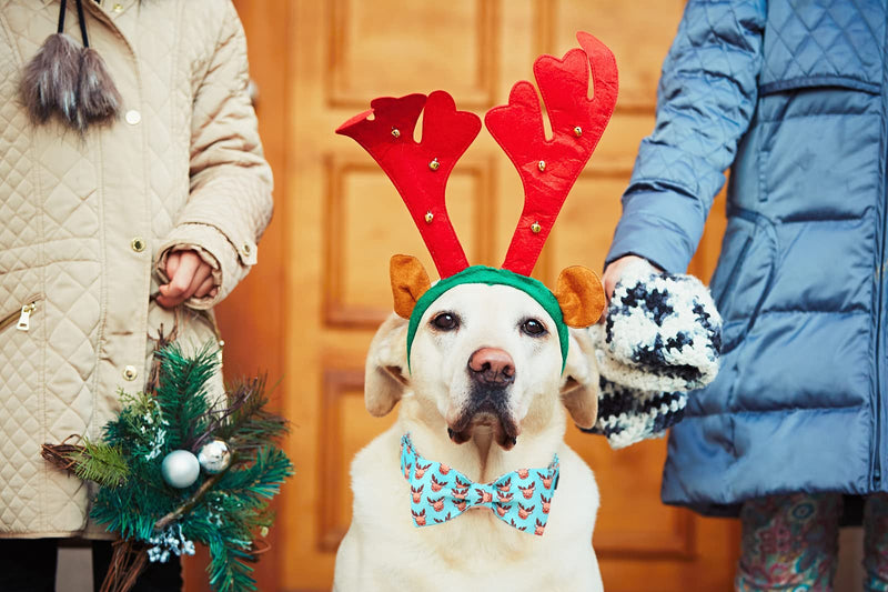 lionet paws Christmas Durable Adjustable Bowtie Dog Collar with Metal Buckle for Large Dog, Neck 40-60cm L L (Pack of 1) Reindeer