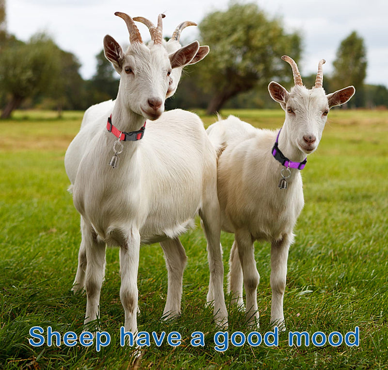 5 Pack Goat Collar with Bell, Sheep Collar with Bell, Grazing Copper Bells and Adjustable Nylon Collar Set for Small Farm Animal Sheep Cow Pet Goat Accessories 5 Pack - PawsPlanet Australia