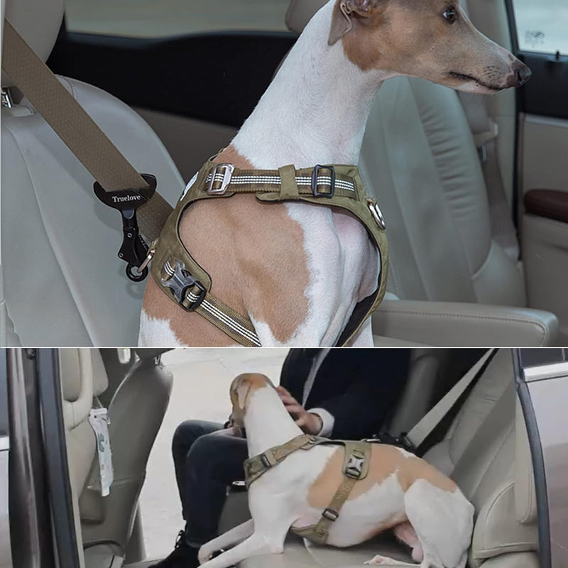 Turelove Upgraded Dog Seat Belt Lock - Universal Dog Harness Lock, Aviation Aluminum, Sturdy & Durable, Portable Vehicle Seatbelt for Pet Car Travel, Purple - PawsPlanet Australia