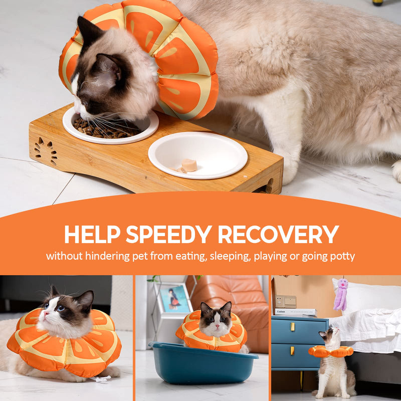Avont Cat Recovery Suit Bundle with Cat Cone Collar Soft - PawsPlanet Australia