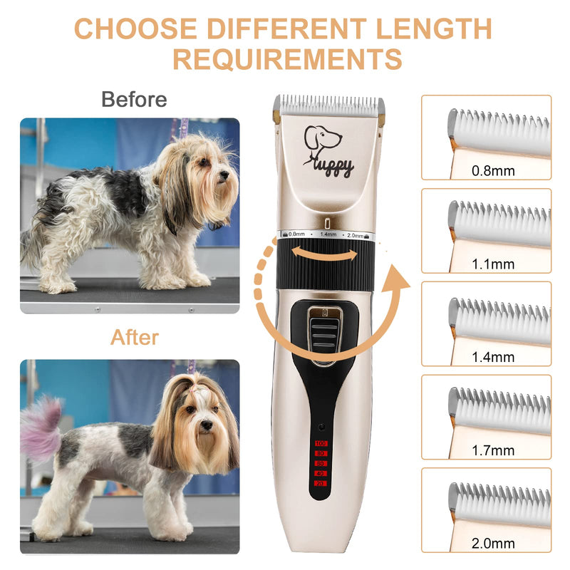 Dog Clippers, 12 Pack 3 Speeds Professional Dog Grooming Clippers Kit, Low Noise Rechargeable Cordless Dog Grooming Kit, Hair Trimmer for Dogs, Cats and Other Animals - PawsPlanet Australia
