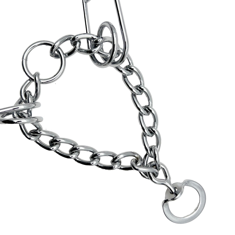 Adjustable Dog Ｎo Pull Ｃollar for Small Medium Large Dogs (Silver, M) Silver - PawsPlanet Australia