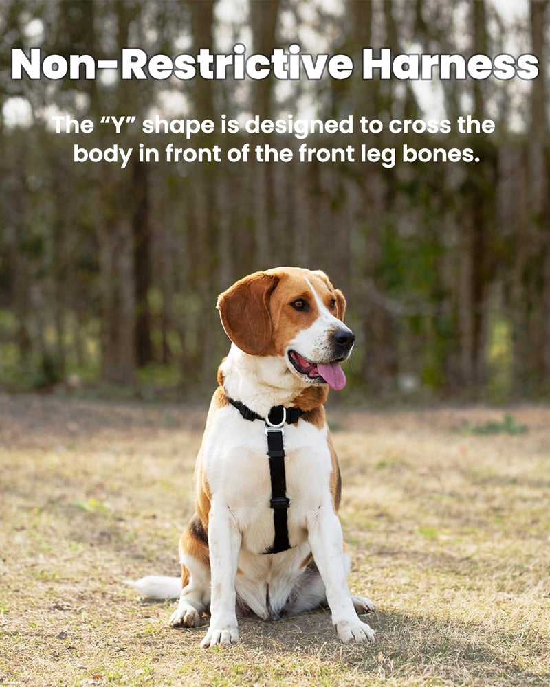 No Pull Dog Harness with Two Points Control Leash Set, Neck Buckle, Aluminum D-Rings, 6 Points Adjustment, Easy Walking and Training, Leash with 2 Clips (Harness-Leash Set, L) - PawsPlanet Australia