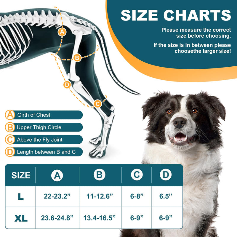 Dog Knee Brace for Torn ACL Hind Leg, Hot/Cold Compress for Patella Dislocation or Osteoarthritis, Cruciate Ligament Injuries, for Medium & Large Dogs(Left Leg,XL) Left Leg XL - PawsPlanet Australia