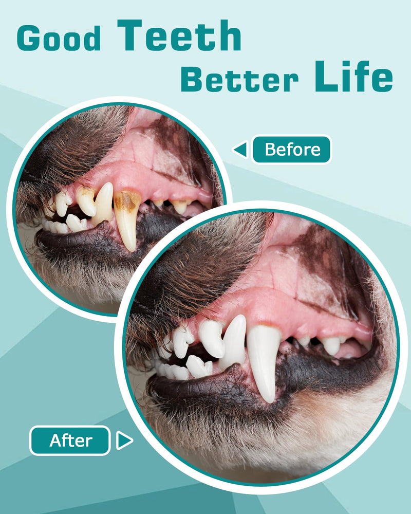 Dog Teeth Cleaning Kit 12-in-1, Pet Ultrasonic Canine Plaque Remover for Teeth with LED Light, 5 Cleaning Mode, USB Charge Dog Toothbrush Tool with Dental Tools Scaler Scraper Black - PawsPlanet Australia