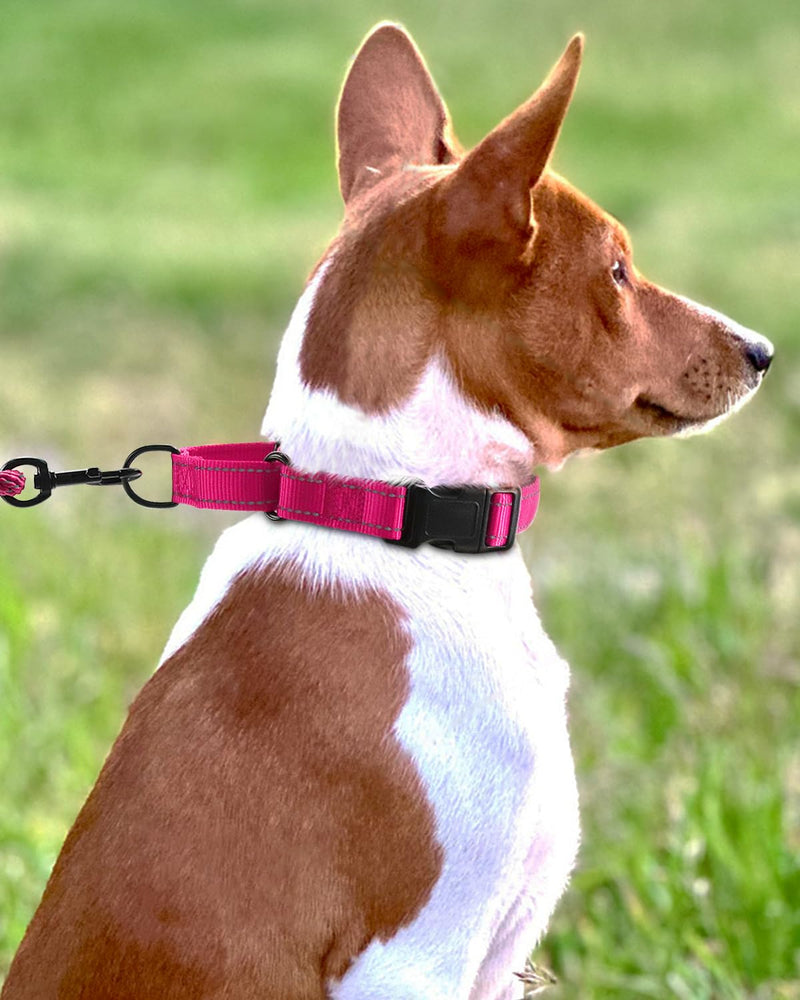 Padded Martingale Collar for Dogs | Neoprene Martingale Dog Collars | Reflective Nylon Martingale Collar | Adjustable Dog Martingale for Small Medium and Large Dogs Large(pack of 1) Hot Pink - PawsPlanet Australia