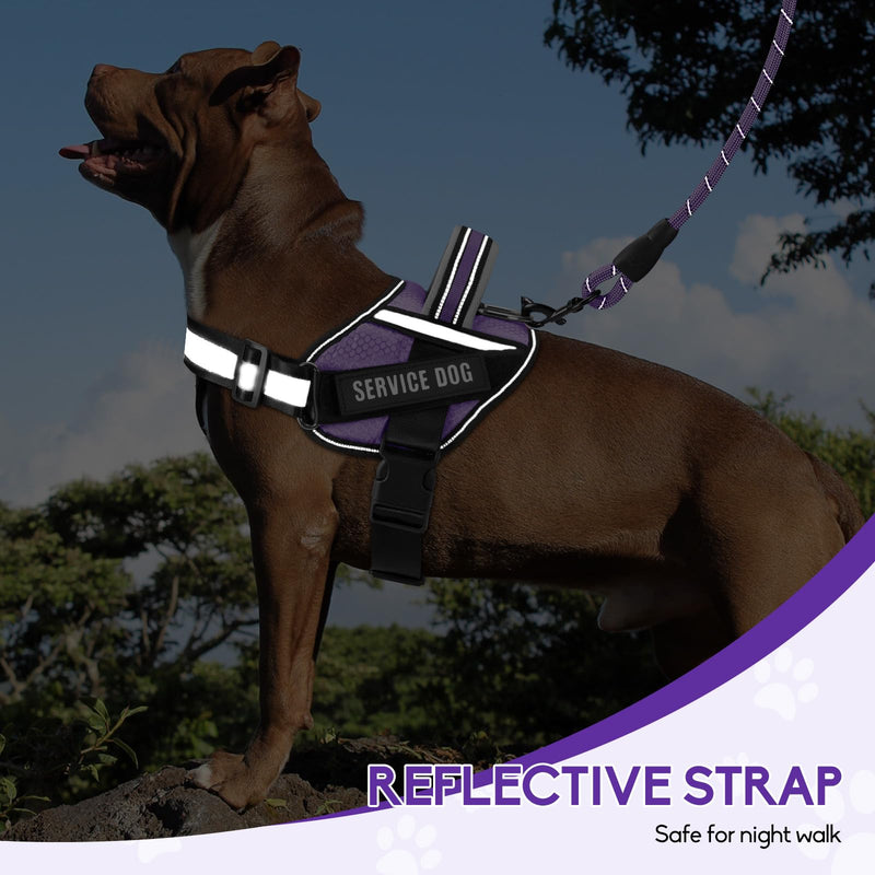 Service Dog Vest Harness and Leash Set, Animire in Training Dog Harness with 10 Dog Patches, Reflective Dog Leash with Soft Padded Handle for Small, Medium, Large, and Extra-Large Dogs (Purple, M) Purple - PawsPlanet Australia