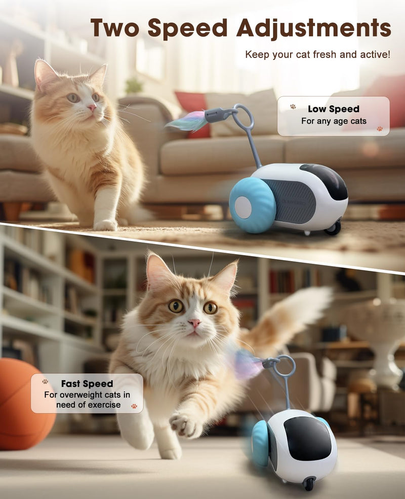 Cat Toys for Indoor Cats, Smart Interactive Cat Toy with Two-Speed Adjustment, Remote Control USB Rechargeable Automatic Cat Exercise Toys for Bored Indoor Adult Cats Kittens (Blue) Blue - PawsPlanet Australia