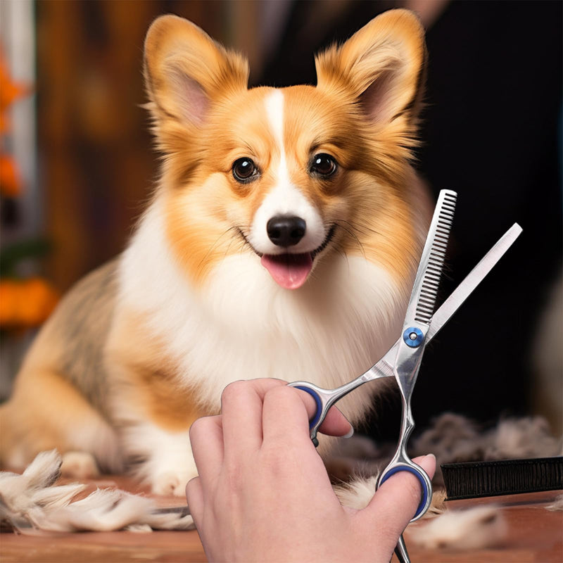 Dog Grooming Scissors Set - ShiningUU 2Pcs Stainless Steel Pet Hair Cutting Scissors with Safety Rounded Tips | Cutting Scissor and Thinning Shear for Dogs Cats Pets - PawsPlanet Australia