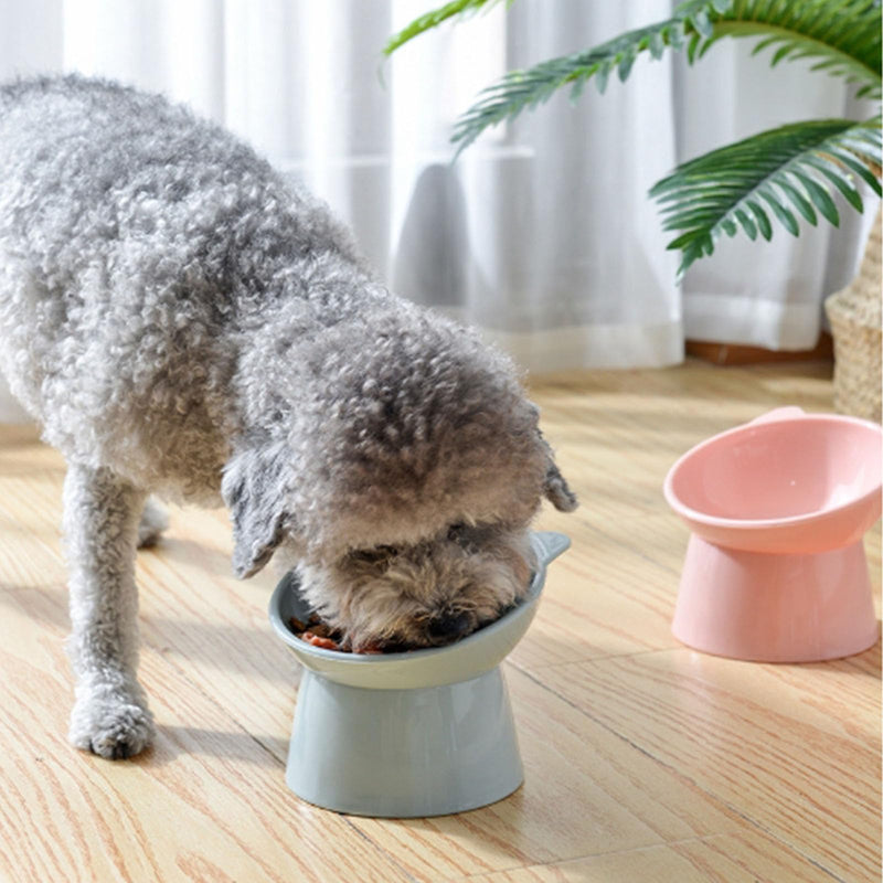 Tilted Raised Posture for Cat Food Bowl Neck for Protection Anti Vomiting 45 Degree Elevated Slanted Stand Bowls for Cat Tilted Bowl-Bowl Diameter Approx.13.7cm/5.39in Blue - PawsPlanet Australia