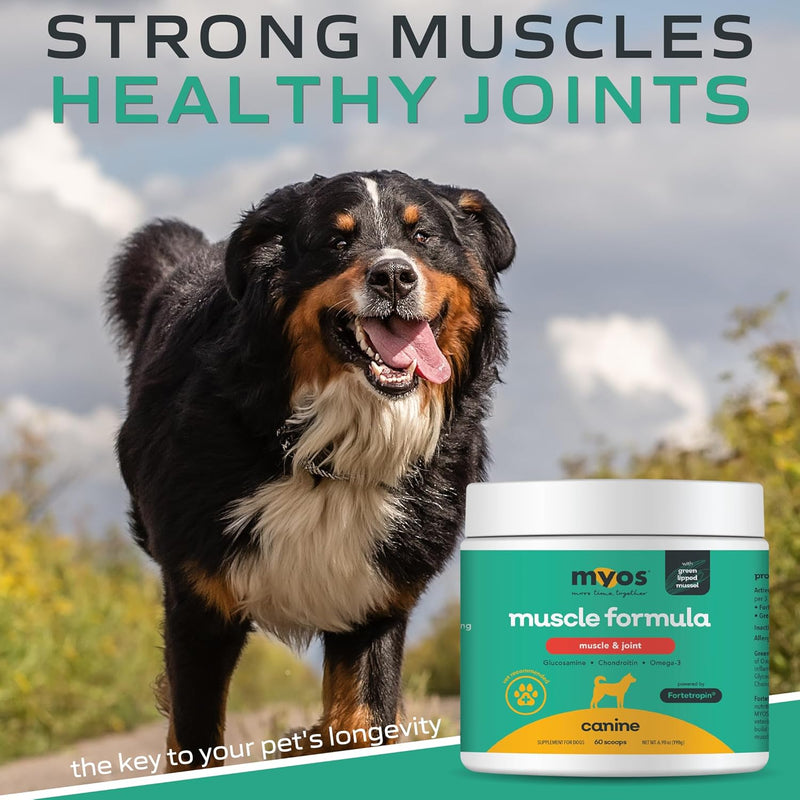 MYOS Muscle & Joint – All Natural Canine Joint Health Supplement Powered by Fortetropin with Green Lipped Mussel – Reduce Muscle Loss, Boost Joint Mobility & Improve Recovery and Reduce Inflammation