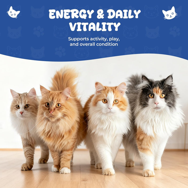 Vitamin B12 for Cats | Methylcobalamin Supplement | Boosts Red Blood Cell Formation, Energy, Nervous System & Appetite, Treats Pancreatitis | 2 fl oz Dropper