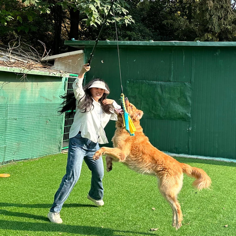 Flirt Pole Dogs, Dog Flirt Pole Extra Strong for Large Medium Small Dogs to Keep The Dog Entertained and Physically Exhausted Ball+Beaver L