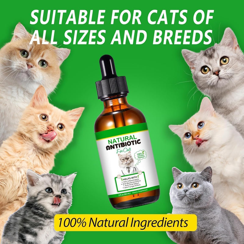 Natural Antibiotics for Cats - Cat Antibiotics - Cat Antibiotic - Pet Antibiotics - Cat Immune Support - Antibiotic for Cats - Cat Multivitamin - Cat UTI Antibiotics