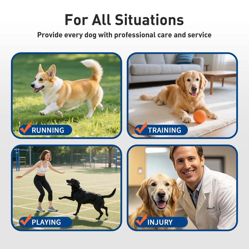 Dog Leg Braces – Adjustable Double straps reinforcement – Protects Wounds and Helps Heal Hind Legs Rear Ankle Joint – Hock & Ankle Support for Senior Dogs, ACL & Ligament Injury Recovery (L) L