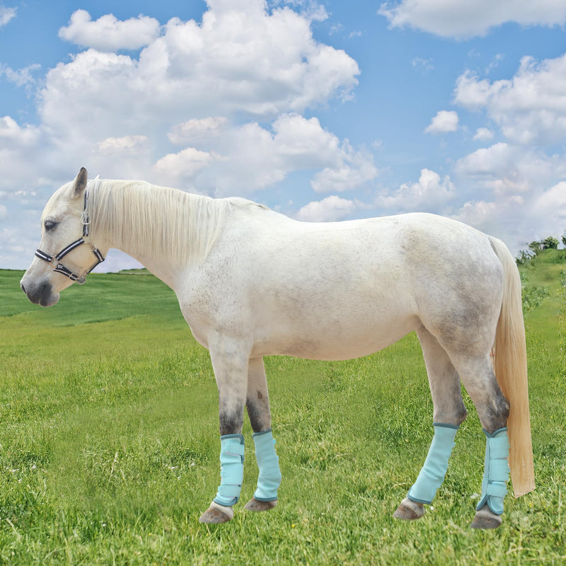 Adjustable Horse Fly Boots Set of 4, Equine Leg Protection Reduce Stomping, Breathable Mesh Fly Boots for Horses, Horse Leggings Leg Guards Aqua Blue 03 Full - PawsPlanet Australia