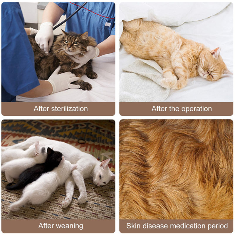 2 Pcs Cat Recovery Suit, Soft Post Surgery Onesie, Anti Licking for Abdominal Wounds, E-Collar Alternative