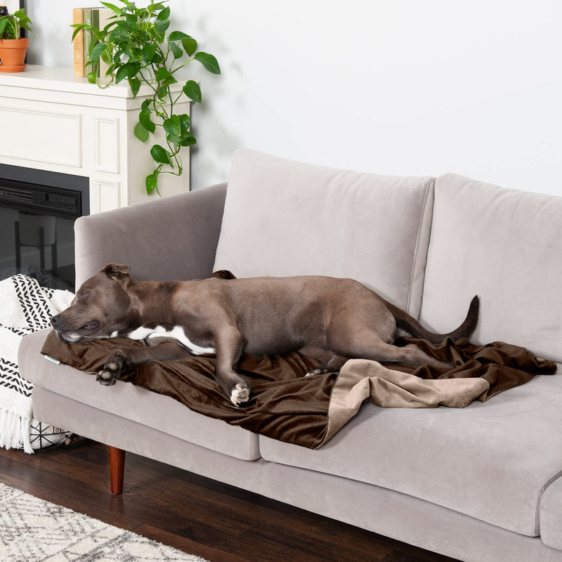Furhaven Waterproof Throw Blanket for Dogs & Indoor Cats, Washable - Two-Tone Luxe Velvet Dog Blanket - Brownstone, Large 50.0"L x 35.0"W - PawsPlanet Australia