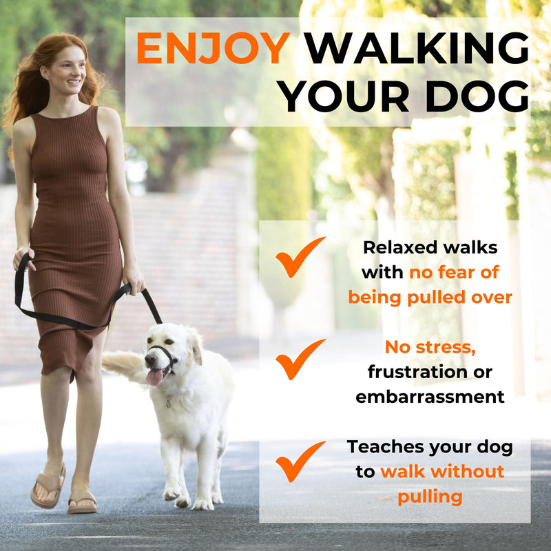 Canny Collar No-Pull Dog Head Collar | Gentle & Humane Leash Training Aid for Small Dogs | Stops Pulling – Comfortable Control for Walking & Obedience | Red, Size 2 11-13in neck - Size 2 - PawsPlanet Australia