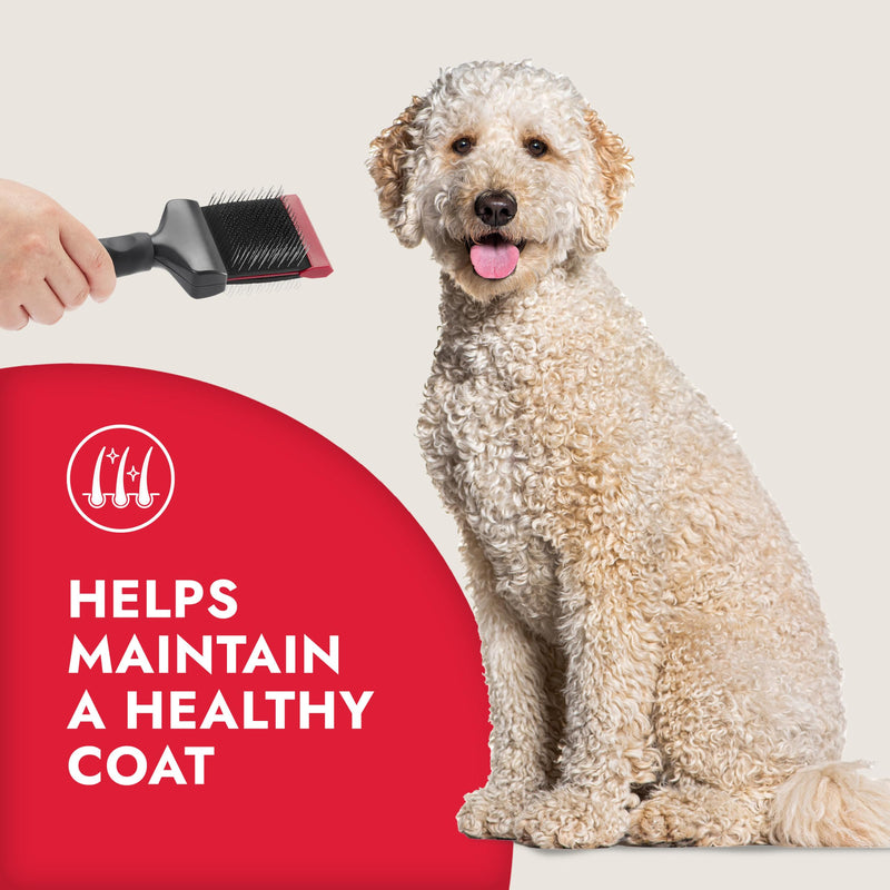 KONG Double-Sided Flexible Slicker Brush – De-Shedding & Detangling Tool, Padded Grip, Long Metal Pins, Flexible Head, for Medium to Large Dogs with Medium to Long Coats, Red/Gray - PawsPlanet Australia