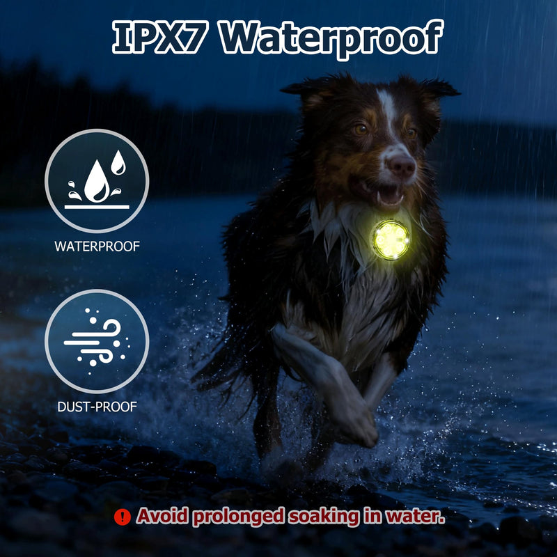2-Pack Dog Collar Light, 8 Modes Rechargeable Dog Light with Durable Silicone Band, IPX7 Waterproof LED Pet Safety Lights for Nightwalking, Hiking, Running 2 - PawsPlanet Australia