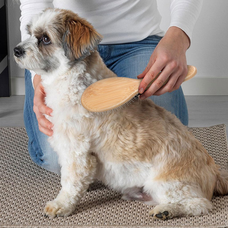 cobee Stainless Steel Pin Dog Brush, Bamboo Handle Grooming Brush 20mm Round Pins Airbag Pet Comb Professional Dog Pin Brush Fur Shedding Comb for Long or Short Hair Cat Dog - PawsPlanet Australia