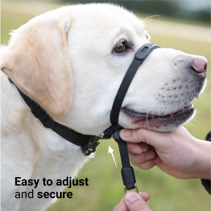 SVD.PET No-Pull Dog Headcollar for Easier Walks, Chew-Proof Protector to Increase Comfort, Simple Design, Easy to Wear and Adjust (Medium Size for Small and Medium Size Dogs, Pink) M: Upper Neck 12 - 20 inch - PawsPlanet Australia