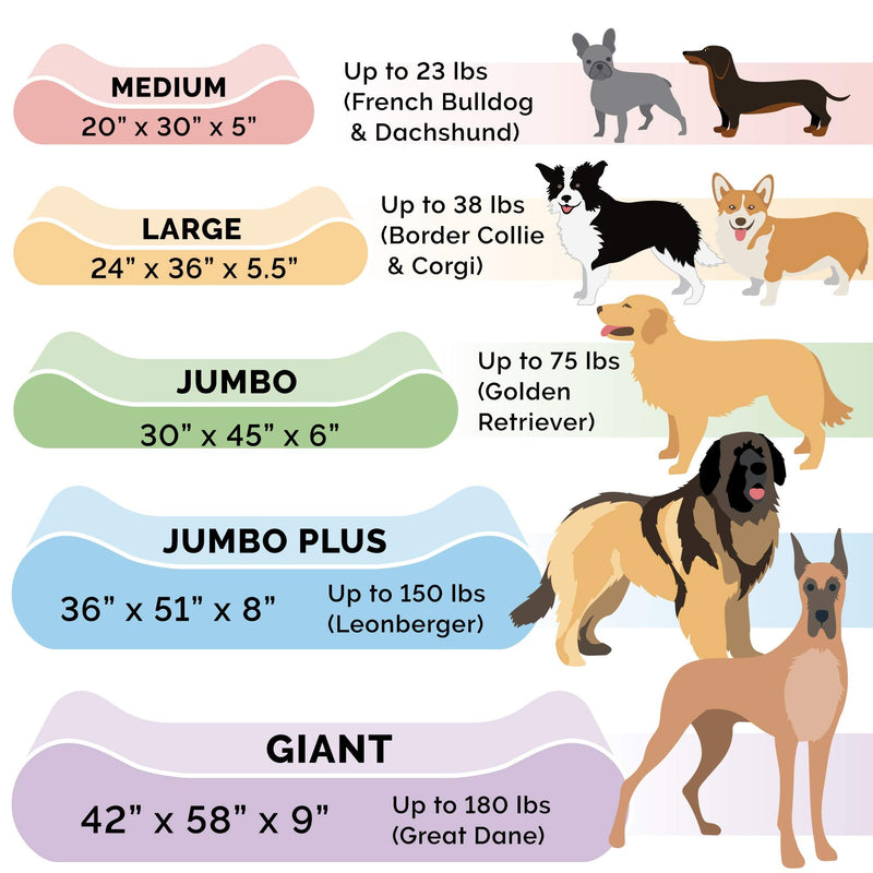 Furhaven Memory Foam Dog Bed for Medium/Small Dogs w/ Removable Washable Cover, For Dogs Up to 23 lbs - Ultra Plush Faux Fur & Suede Luxe Lounger Contour Mattress - Chocolate, Medium - PawsPlanet Australia