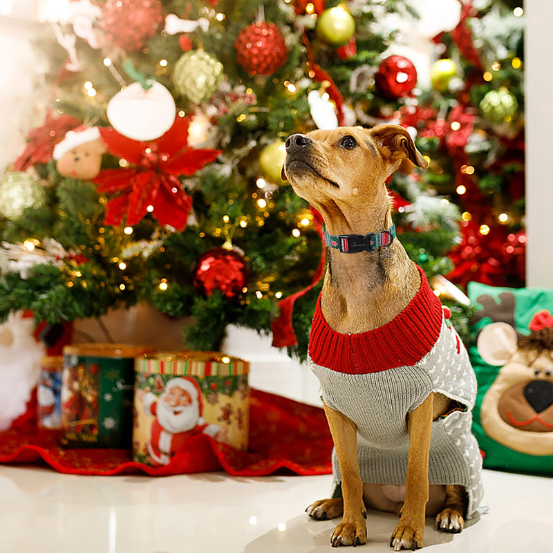 ARING PET Christmas Dog Collar, Cute Red Green Folk Cotton Pet Collars with Quick Release Buckle for Puppy Small Medium Large Boy Girl Dogs-L Christmas-Folk - PawsPlanet Australia