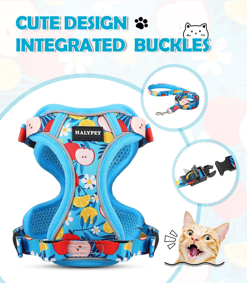 Halypet Cat Harness and Leash Set[MAX Safety 4th-Gen] Cute Escape Proof Vest Harness for Girl&Boy Cat Walking, Comfortable Adjustable Leash and Reflective Strips for Outdoor Kitten, M Azure Floral H603 Pro Azure Floral Medium (13-18lb) - PawsPlanet Australia