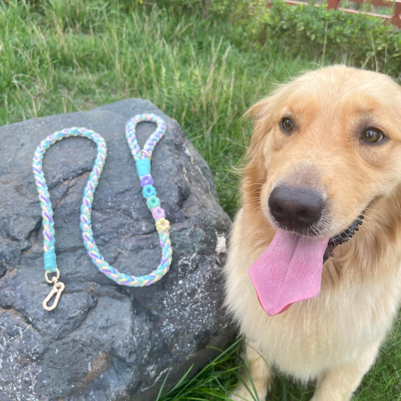 Handmade 5ft Braided Cotton Dog Leash with Unique Floral Handle, Durable and Stylish, Ideal for Small to Large Dogs, Rainbow Color - PawsPlanet Australia