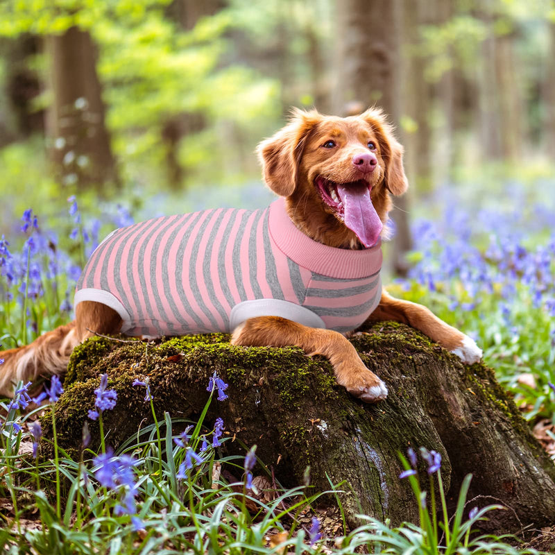 Dog Recovery Suit, Puppy Surgical Pajamas Bodysuit for Dogs Cats After Spay Neuter Surgery Abdominal Wound Bandages, Striped Onesie Pant for Shedding Skin Disease, Anti-Licking Cone Alternative S Small Pink - PawsPlanet Australia
