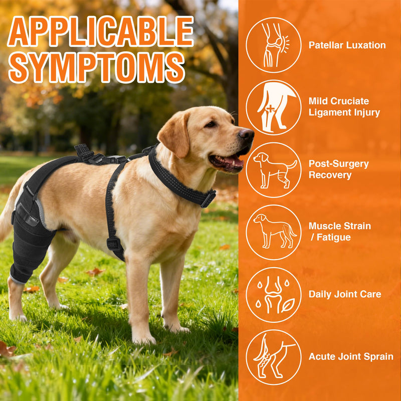 Dog ACL Brace Hind Leg – Breathable Adjustable Rear Leg Brace with Hot/Cold Compress Gel Pack for Arthritis, Swelling & Joint Pain Relief, Left Leg, Size M Left Knee