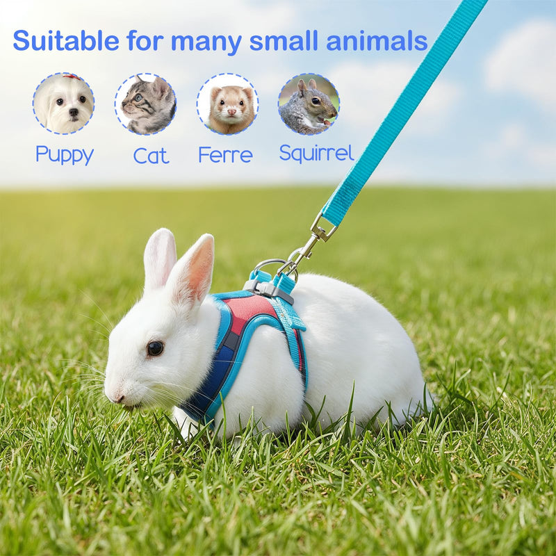 Adjustable Bunny Harness and Leash Set, Double Buckles Breathable Mesh Rabbit Vest with Reflective Strips, Escape Proof Small Pet Walking Training Gear for Rabbits, Kittens, Ferrets, Guinea Pigs (S) - PawsPlanet Australia
