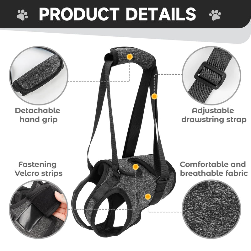 Dog Lifting Harness for Back Legs, Walking Assistance Rehabilitation Harness with Padded Handle Adjustable Support Sling Hind Leg Brace, Mobility Aid for Injured, Disabled, Elderly Dogs M