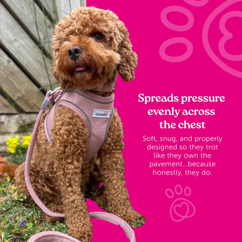 Doodlebone - Dinky Dog Snappy Harness - Step In Vest Style Harness for Small Dogs and Puppies, Lightweight Breathable Fit with Reflective Trim, Secure Fastening - Size 1-2 - Blue Cord - PawsPlanet Australia