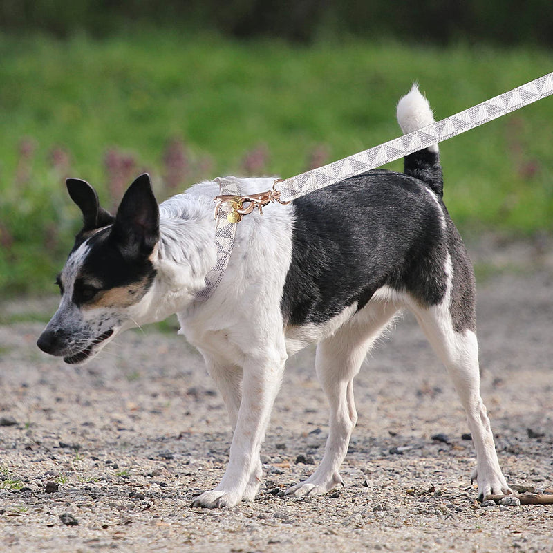 Dog Leather Collar and 4 ft Leash, KUDES Adjustable Basic Collar with Bell Leather Pet Leash Set, Checkered Pattern Durable Leather Collar and Leash with Metal Buckle for Small Medium Large Dogs S(Neck 10-12" ,Width 0.6") Beige