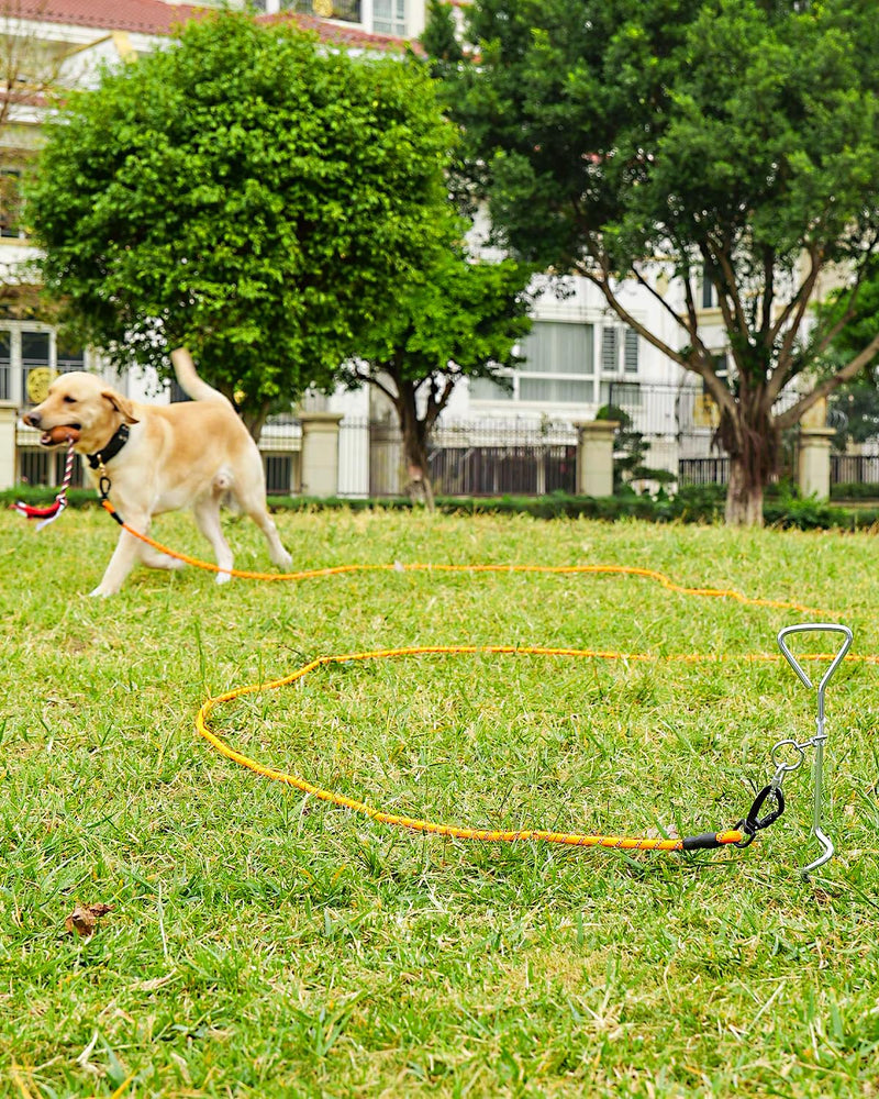 Joytale Long Leash for Dog with Removable Padded Handle, Heavy Duty Lead for Large Medium Dogs,15FT/30FT/50FT/65FT Reflective Training Leash for Play, Camping, Backyard Tie Out, Orange, 50FT 50FT, 3/8" - PawsPlanet Australia