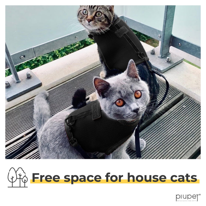 PiuPet® Cat Harness and lead set I 1,2m cat lead I Cat harness escape-proof I Robust Cat Collars | Cat Leash | Cat Harnesses | Cat Harness Escape Proof | Kitten Harness and Lead Set I Size S I Black Black S (neck circumf. 20-24cm, chest 36-40cm) - PawsPlanet Australia