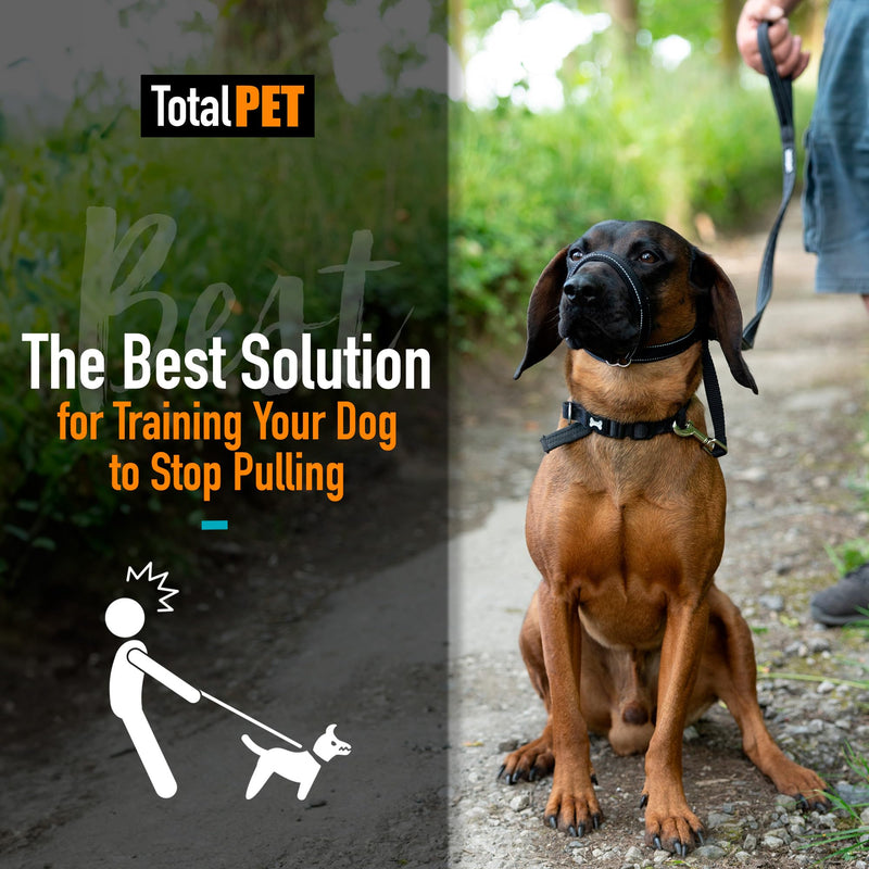 Total Pet Figure of 8 Dog Lead - Flat Anti Pull Stop Dogs Pulling – Slip Leads Reflective with Padded Nose Support (180cm) Black 180cm