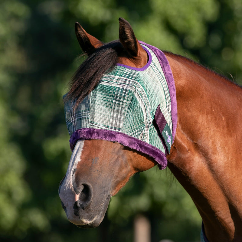 Kensington Fly Mask with Fleece Trim for Horses — Protects Face and Eyes Helps Block Sun Rays While Allowing Full Visibility — Breathable and Non Heat Transferring Large 2019 - Imperial Jade