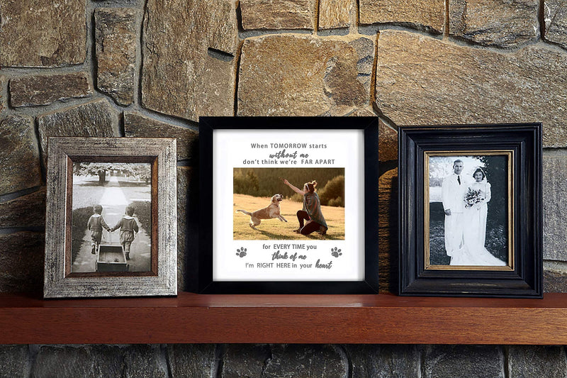 KCRasan Memorial Picture Frame for Pet Loss Gift - Remembrance Frame for Dog or Cat with Sympathy Tribute Keepsake(9x9 frame) 8x8-Black - PawsPlanet Australia