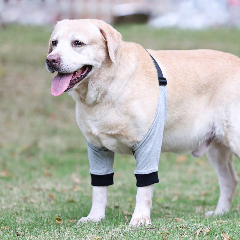 Dog Recovery Front Legs Sleeve Soft Padded Dog Elbow Brace Pet Leg Wounds Protector Dog Short Pants for Small Medium Dogs (XL) XL - PawsPlanet Australia