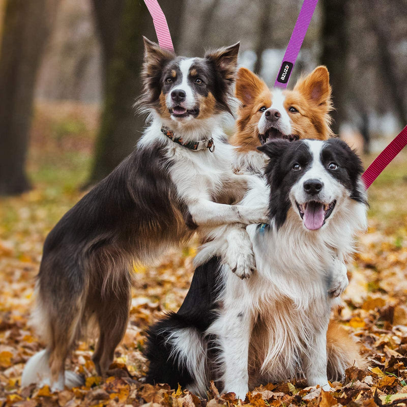 azuza 3 Pack Nylon Dog Leashes,Strong & Durable Basic Style Leash with Easy to Use Collar Hook,Available in Multiple Lengths for Puppy Small Dogs, Hot Pink/Pink/Purple XS: 3/8" x 6 FT 2#3pack (Pink) - PawsPlanet Australia