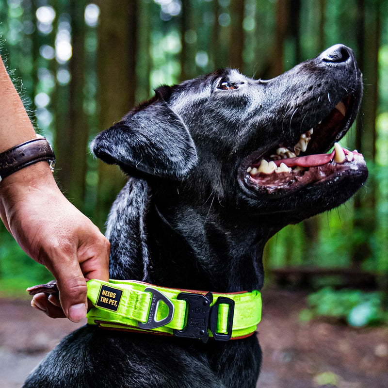 The Comfort Collar, Soft Cowhide Padded Dog Collar for All Breeds, Reflective Patch, Metal Buckle for Big Size Dogs Easy Control Handle (S,M,L) (S, Neon Yellow) S - PawsPlanet Australia
